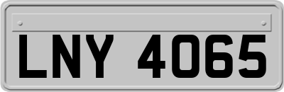 LNY4065