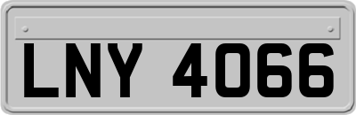LNY4066