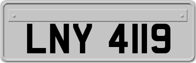 LNY4119