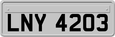 LNY4203
