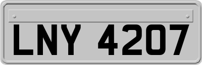 LNY4207
