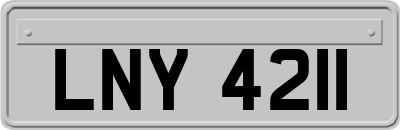 LNY4211