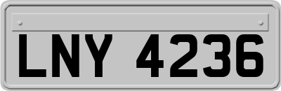 LNY4236