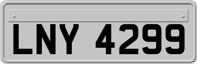 LNY4299