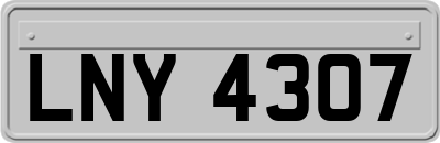 LNY4307