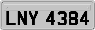LNY4384