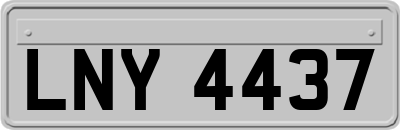 LNY4437