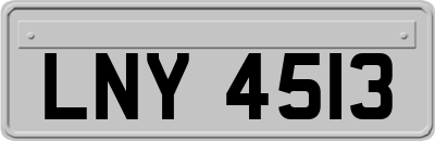 LNY4513