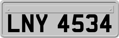 LNY4534