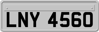 LNY4560