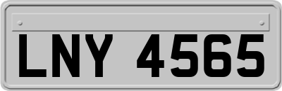 LNY4565