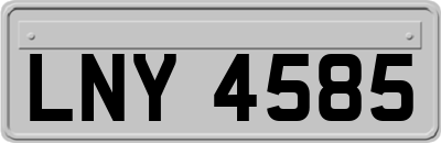 LNY4585