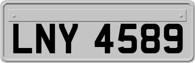 LNY4589