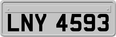 LNY4593