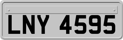 LNY4595