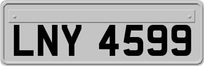 LNY4599