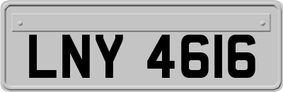 LNY4616