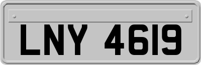 LNY4619