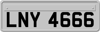 LNY4666