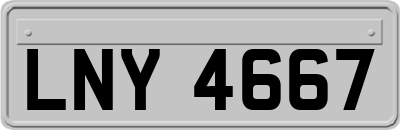 LNY4667