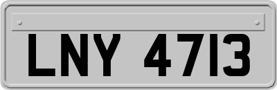 LNY4713