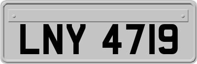 LNY4719