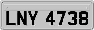 LNY4738