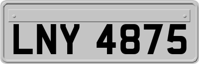 LNY4875