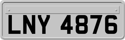 LNY4876