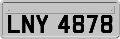 LNY4878