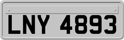 LNY4893