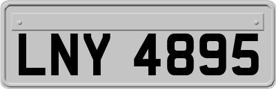 LNY4895