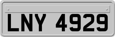LNY4929