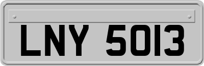 LNY5013