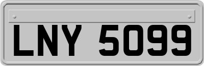 LNY5099