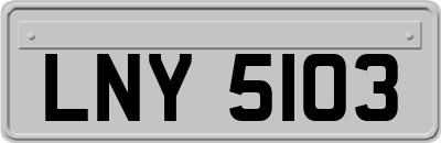 LNY5103