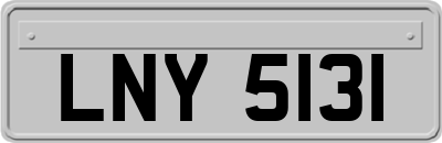 LNY5131