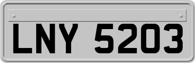 LNY5203
