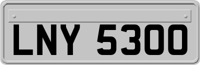 LNY5300