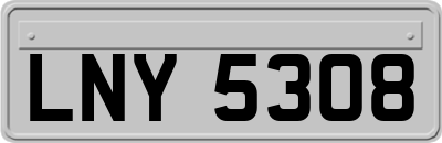 LNY5308