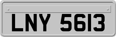 LNY5613