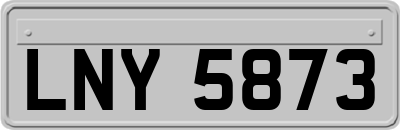 LNY5873