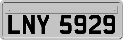 LNY5929