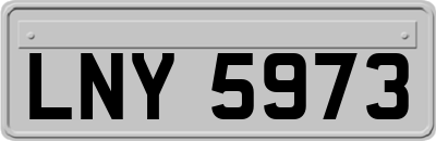 LNY5973