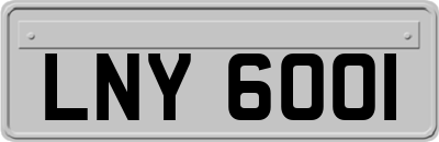 LNY6001