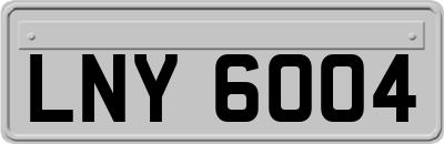 LNY6004