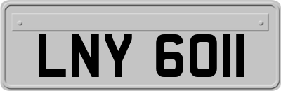 LNY6011