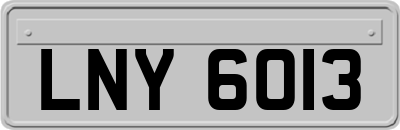 LNY6013
