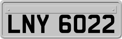 LNY6022