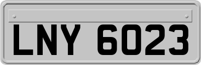 LNY6023